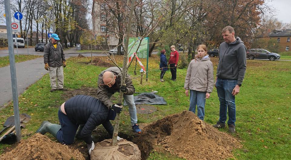 Talka_Ciekurkalna_2025_gada_rudens_2.jpg