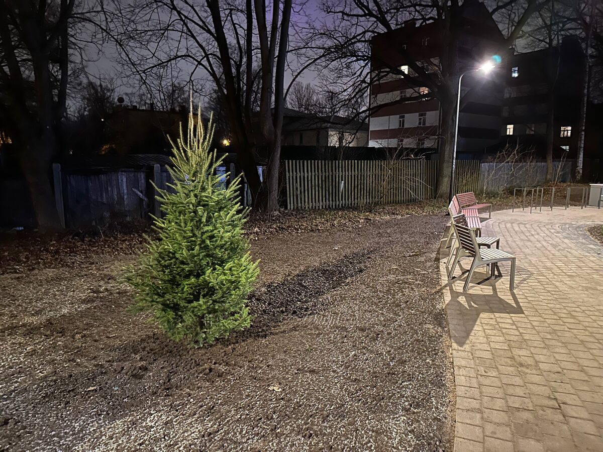 Ciekurkalna_jaunais_skvers_202412_3.jpg
