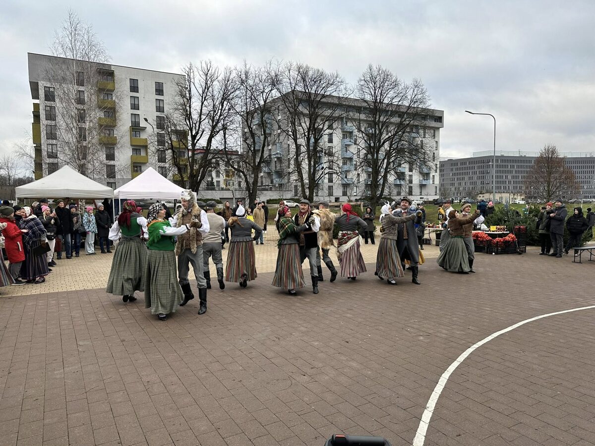 Ziemas_saulgriezi_Ciekurkalna_krustceles_5.jpg